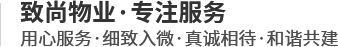 文字